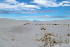 Alkali-Flats-blue-skies-grasses