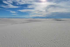 Alkali-Flats-long-flat-sand