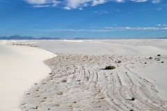 Alkali-Flats-sand-mixing