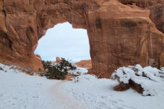 Arches-in-Winter-Pine-Tree-Arch