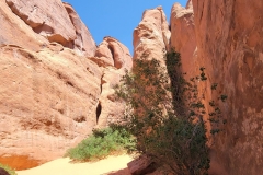 Arches-Sand-Dune-Inner-Section-start