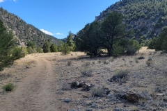 Arkansas-River-from-Hecla-Campgrond-back-trail