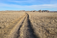 Badlands-Castle-Trail-Topside-long-grass-trail