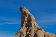 Badlands-Castle-Trail-the-watchful-dog