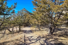 Badlands-Cliff-Shelf-Nature-Trail-path-with-trees