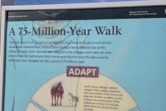 Badlands-Fossil-Trail-75-Million-year-Walk