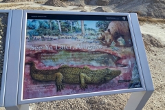 Badlands-Fossil-Trail-Alligator-graphic