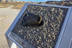Badlands-Fossil-Trail-Croc-mouth-open