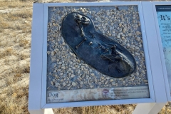 Badlands-Fossil-Trail-Dog-Fossil