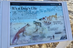 Badlands-Fossil-Trail-Dogs-Life-Graphic