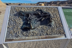 Badlands-Fossil-Trail-Dying-to-Fossil