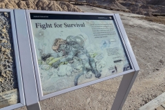 Badlands-Fossil-Trail-Fight-to-Survive-graphic