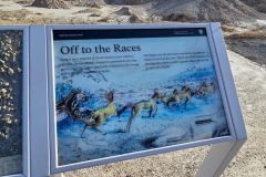 Badlands-Fossil-Trail-Off-to-the-Races-Sign