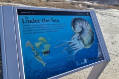 Badlands-Fossil-Trail-under-the-Sea-Graphic