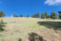 Bald-Mountain-Boulder-steep-hillside