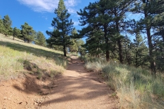 Bald-Mountain-Boulder-trail-to-peak