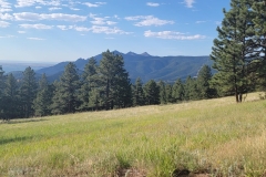 Bald-Mountain-hill-side-with-trees-and-peaks-in-back