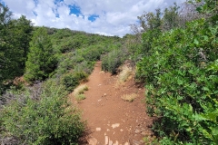 Black-Canyon-Rim-Rock-Trial-small-trail