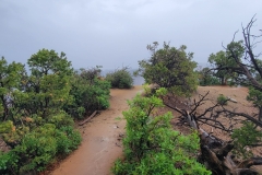 Black-Canyon-Warner-Nature-Trail-Top-Trail