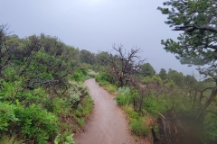 Black-Canyon-Warner-Nature-Trail-Trail