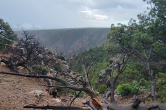 Black-Canyon-Warner-Nature-Trail-clearing