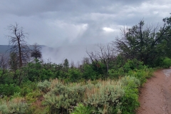 Black-Canyon-Warner-Nature-Trail-rain-and-wet-trail