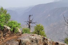 Black-Canyon-Warner-Nature-Trail-top-point
