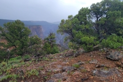 Black-Canyon-Warner-Nature-Trail-trees-near-point