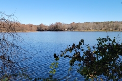 Bledsoe-Creek-Across-the-Creek