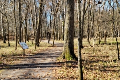 Bledsoe-Creek-Early-Paved-Path