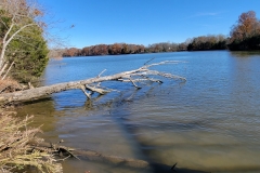 Bledsoe-Creek-Fallen-Tree-in-the-River