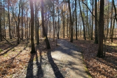 Bledsoe-Creek-Leaves-on-a-Paved-Path