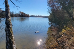 Bledsoe-Creek-Log-in-the-Creek