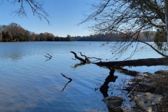 Bledsoe-Creek-Shaded-River