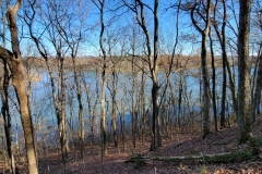 Bledsoe-Creek-Skinny-Trees-in-front-of-River