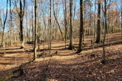 Bledsoe-Creek-off-the-Beaten-Path