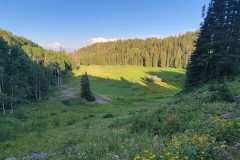 Bloods-Lake-Trail-meadow-in-shadow