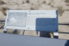 Boardwalk-of-the-Dunes-Apache-Mouse
