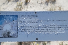 Boardwalk-of-the-Dunes-Little-Bluestem