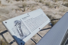 Boardwalk-of-the-Dunes-Yucca