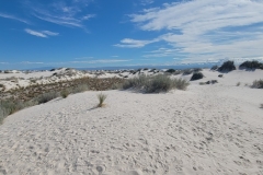 Boardwalk-of-the-Dunes-view-from-end