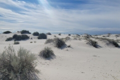 Boardwalk-of-the-dunes-dunes