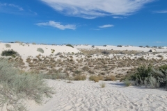 Boarwalk-of-the-Dunes-side-view-from-the-end