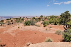 Canyonlands-Murphy-Trail-Top-edge-canyon-distant
