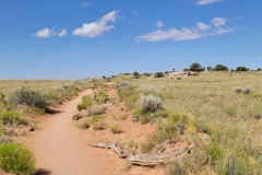 Canyonlands-Murphy-Trail-early-trail-through-brush