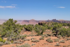 Canyonlands-Murphy-Trail-early-wide-rock-formation