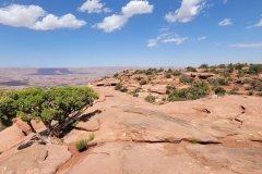 Canyonlands-Murphy-Trail-edge-with-bushes