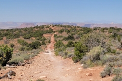 Canyonlands-Murphy-Trail-nice-lead-up-trail