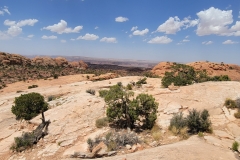 Canyonlands-Upheaval-Dome-topside-rocks-and-trees