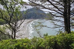 Cape-Falcon-beach-through-the-trees